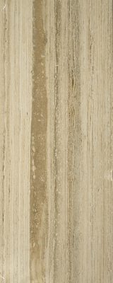 SILVER TRAVERTINE  x